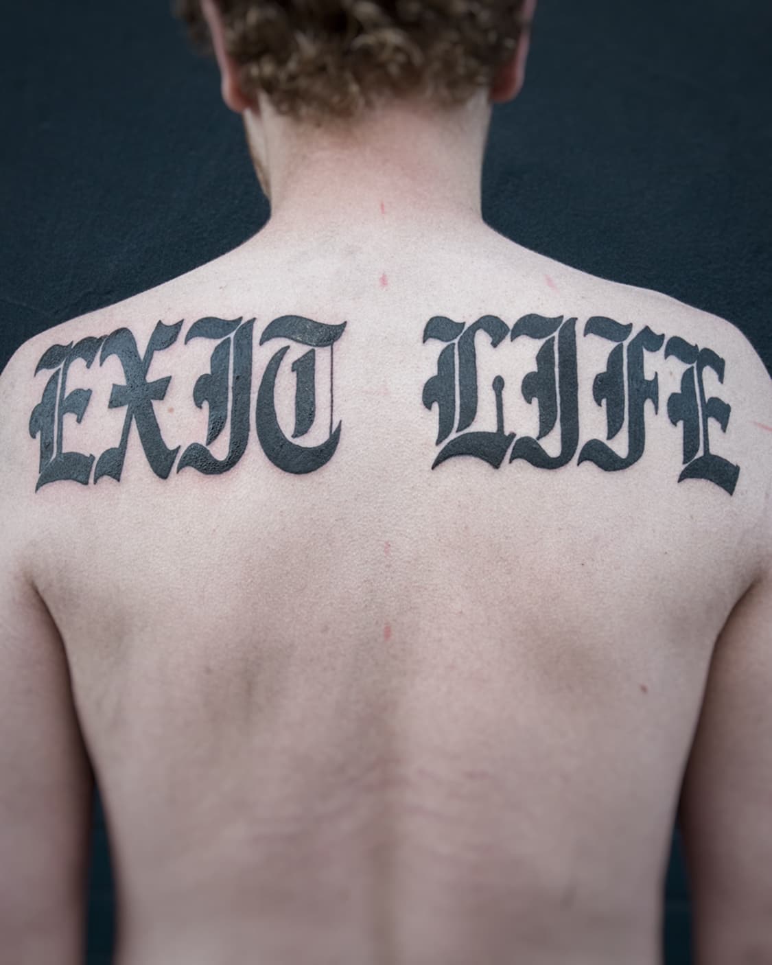 Mapache Studio - Artyści Mapache Studio - Artyści