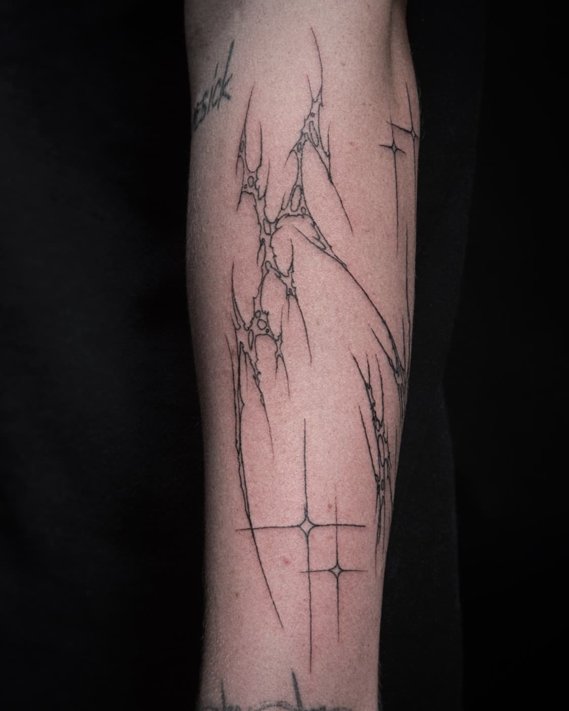 Mapache Studio - Artyści Mapache Studio - Artyści