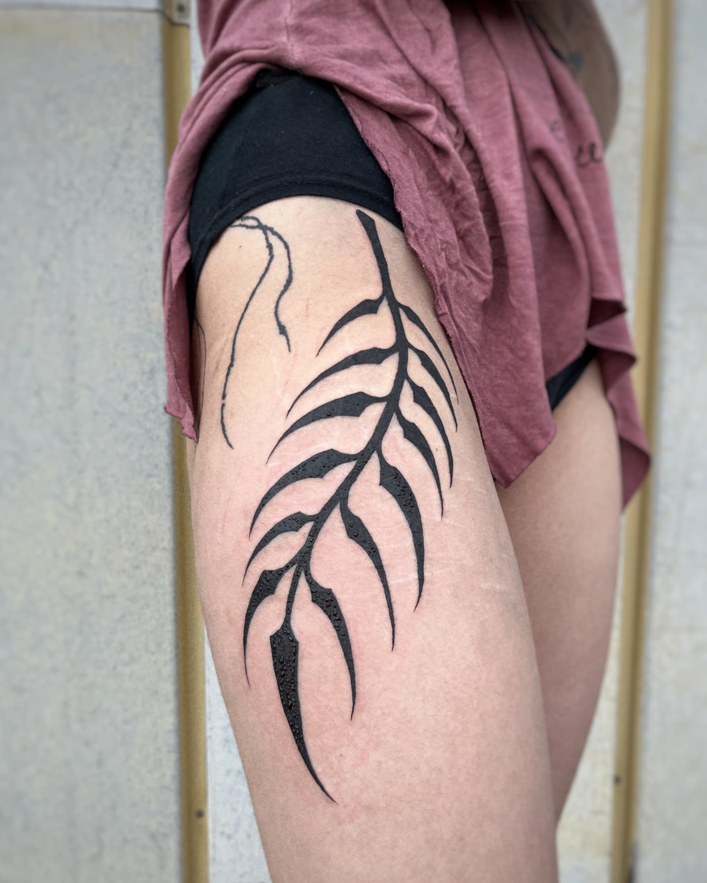 Mapache Studio - Artyści Mapache Studio - Artyści