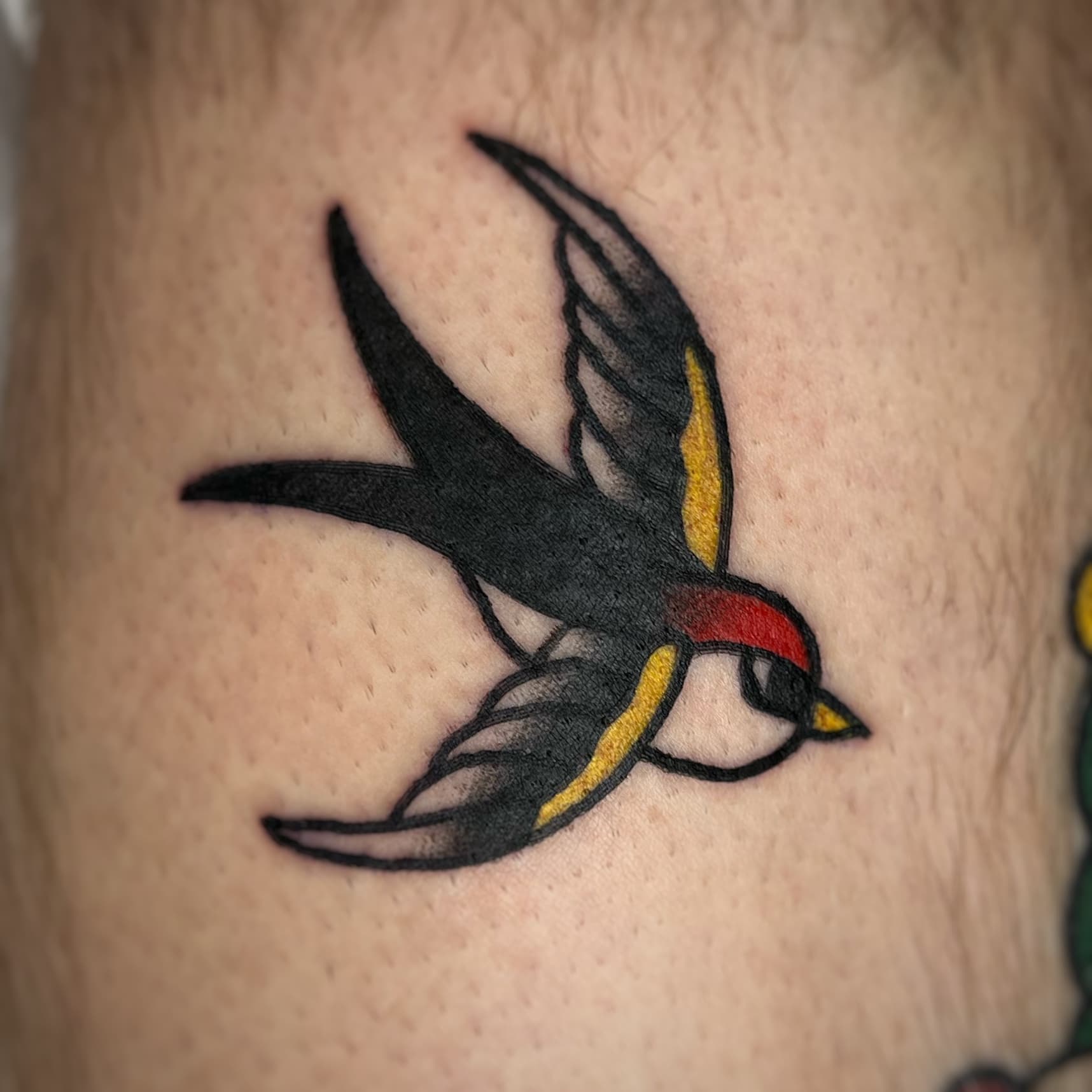 Mapache Studio - Artyści Mapache Studio - Artyści