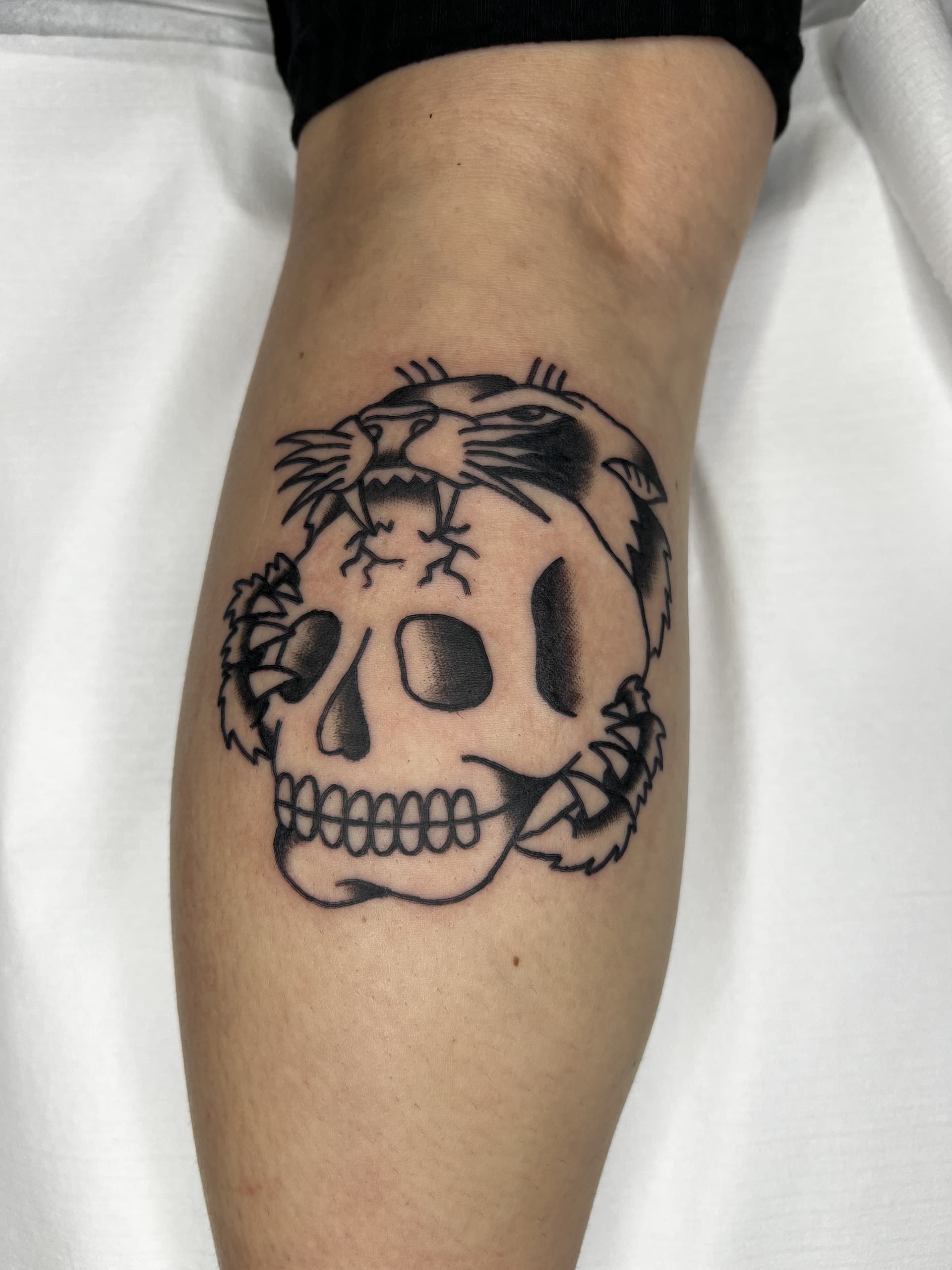 Mapache Studio - Artyści Mapache Studio - Artyści