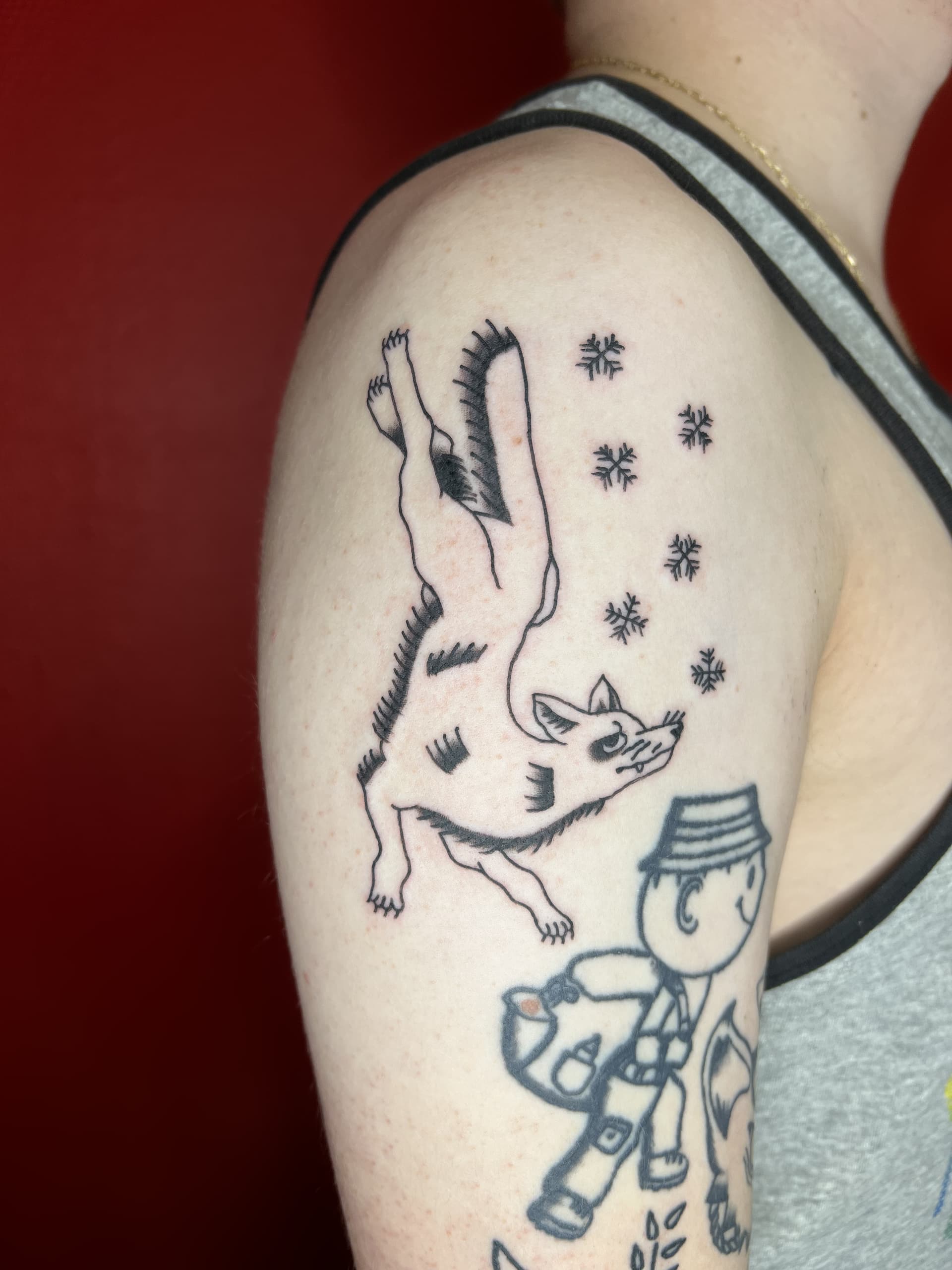 Mapache Studio - Artyści Mapache Studio - Artyści