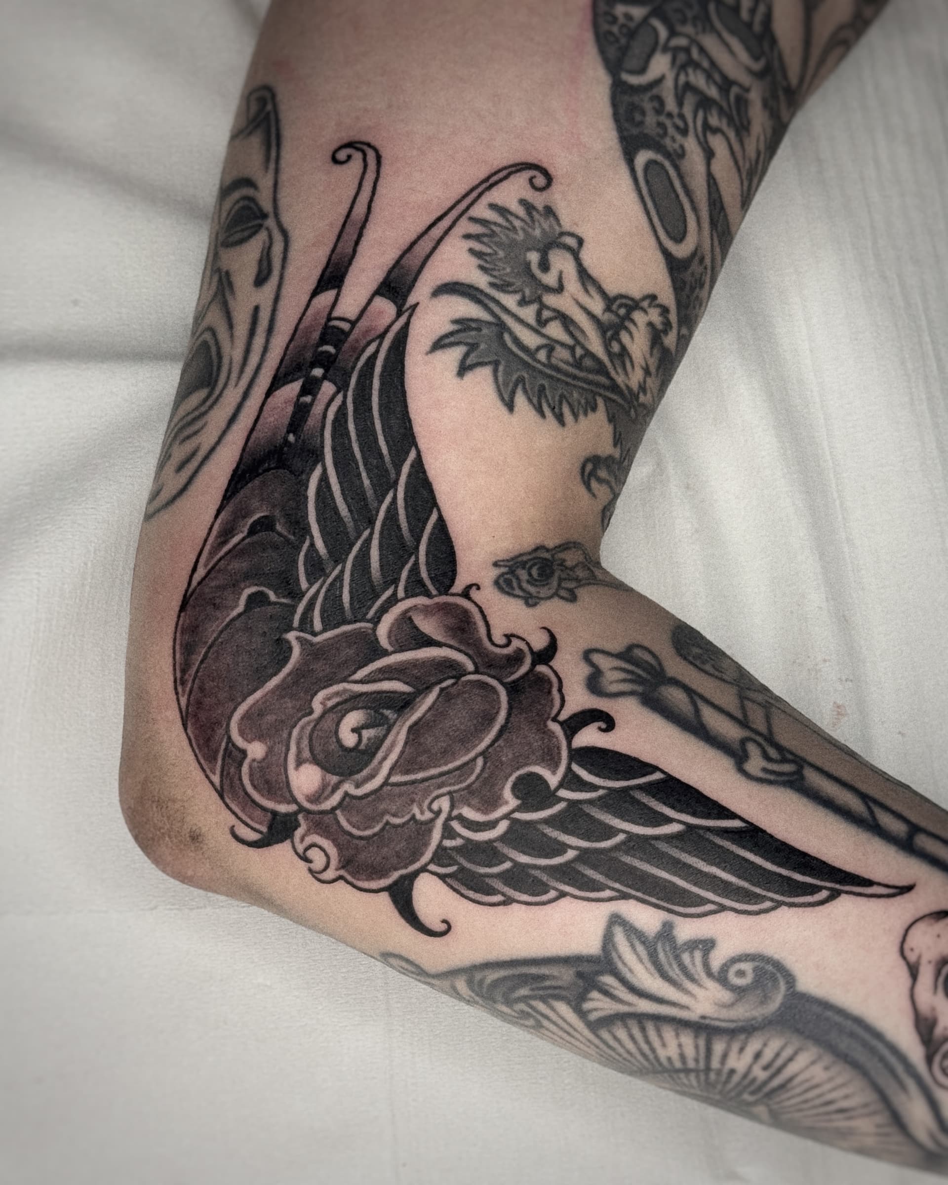 Mapache Studio - Artyści Mapache Studio - Artyści