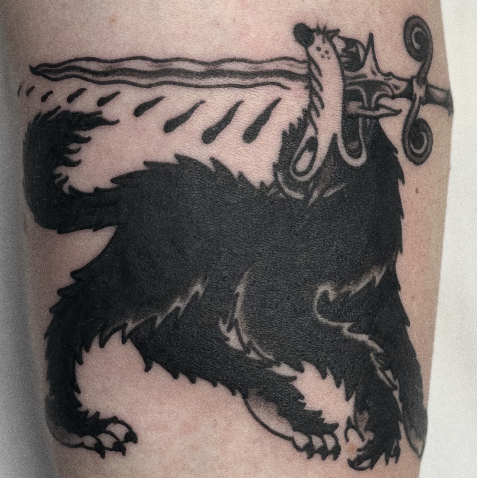 Mapache Studio - Artyści Mapache Studio - Artyści