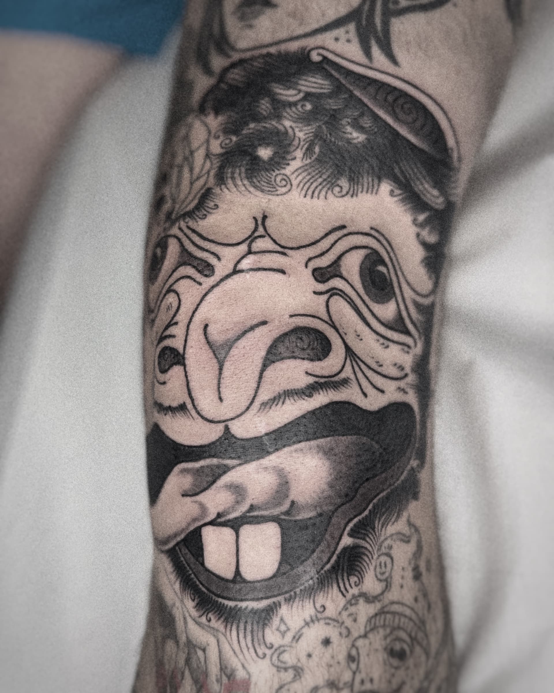 Mapache Studio - Artyści Mapache Studio - Artyści