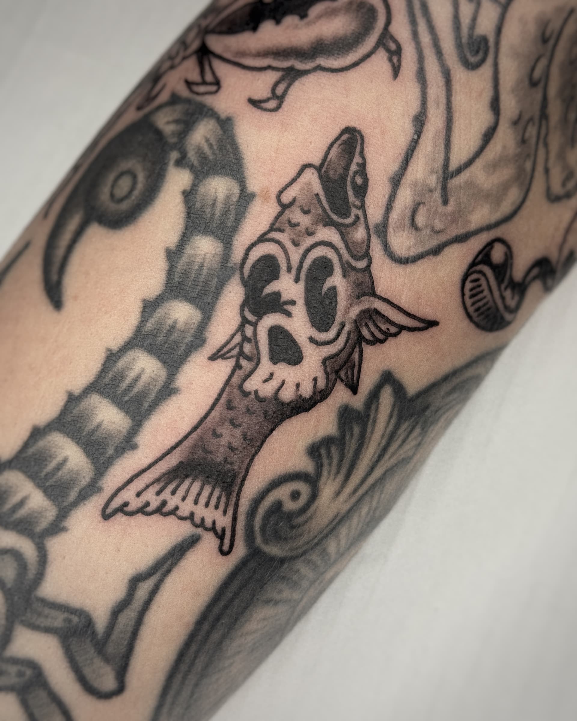 Mapache Studio - Artyści Mapache Studio - Artyści