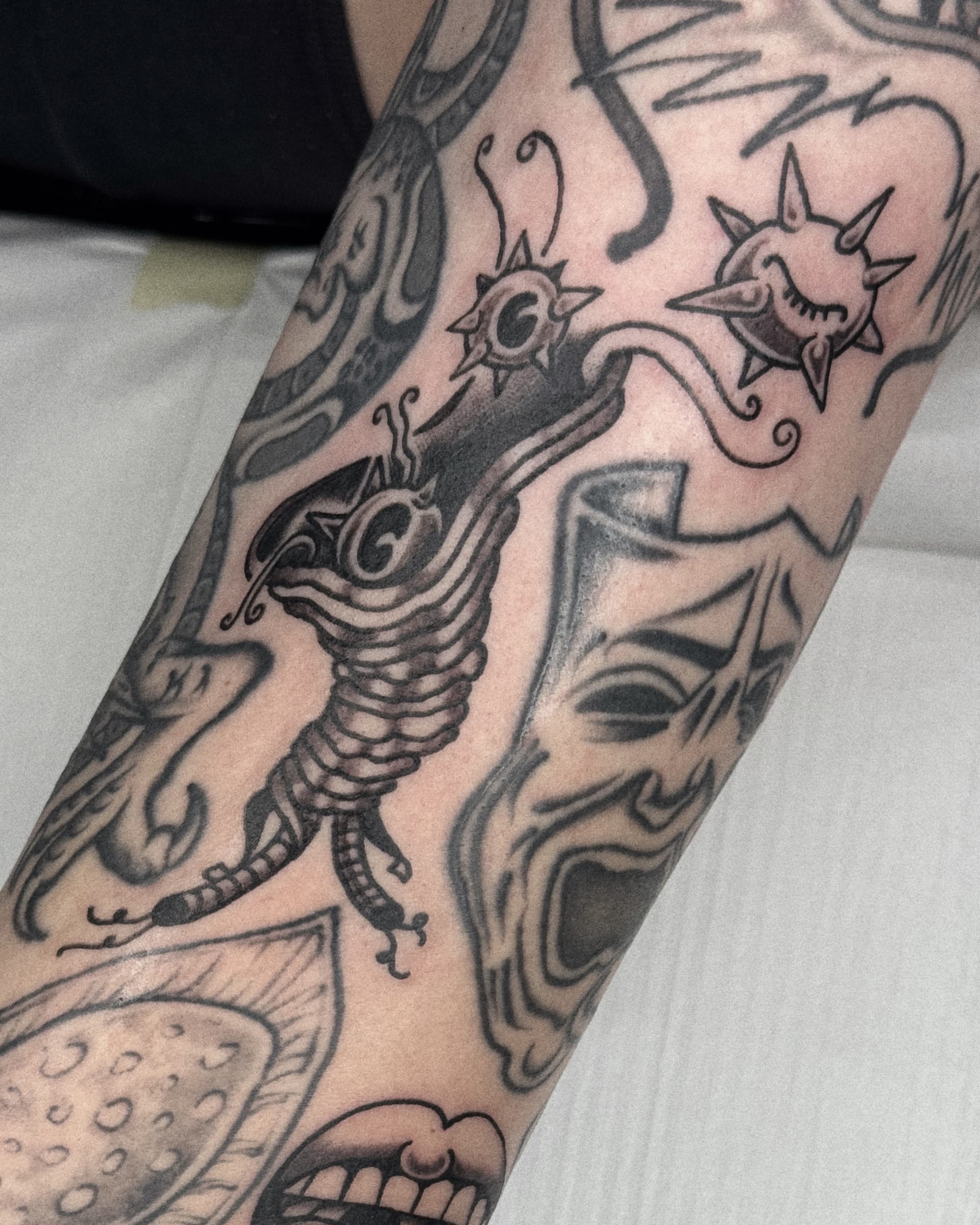 Mapache Studio - Artyści Mapache Studio - Artyści