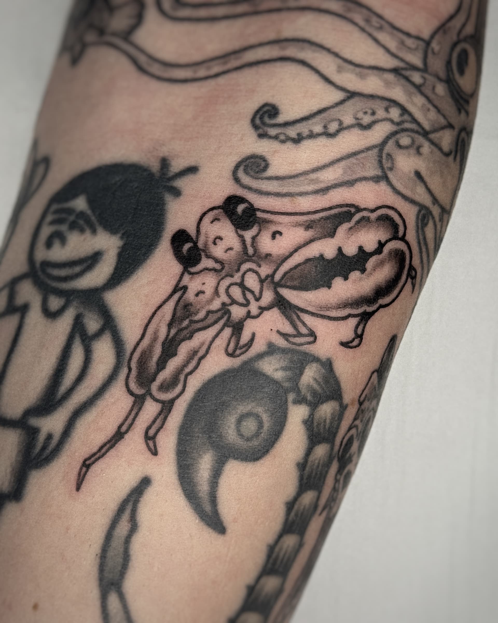 Mapache Studio - Artyści Mapache Studio - Artyści