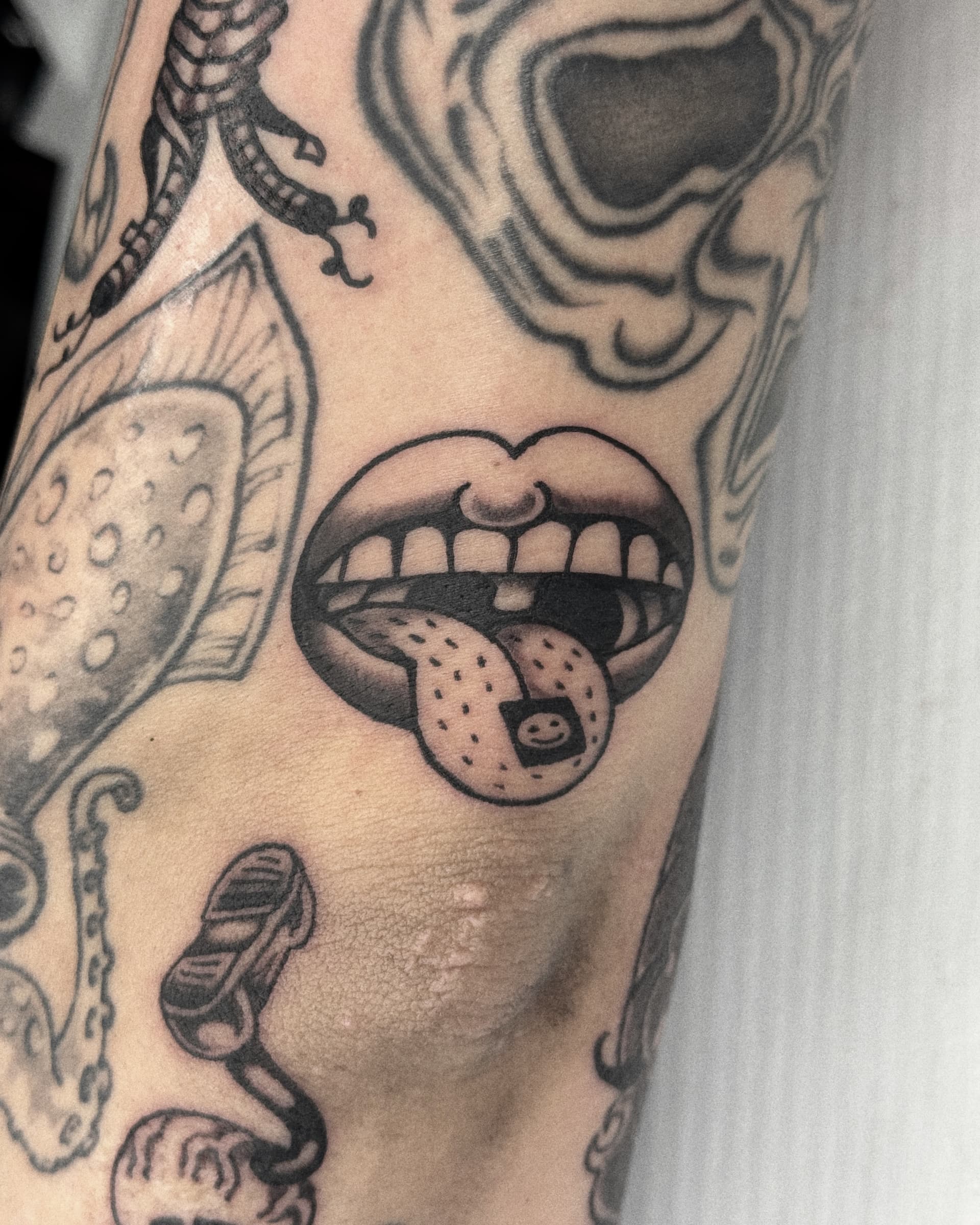 Mapache Studio - Artyści Mapache Studio - Artyści