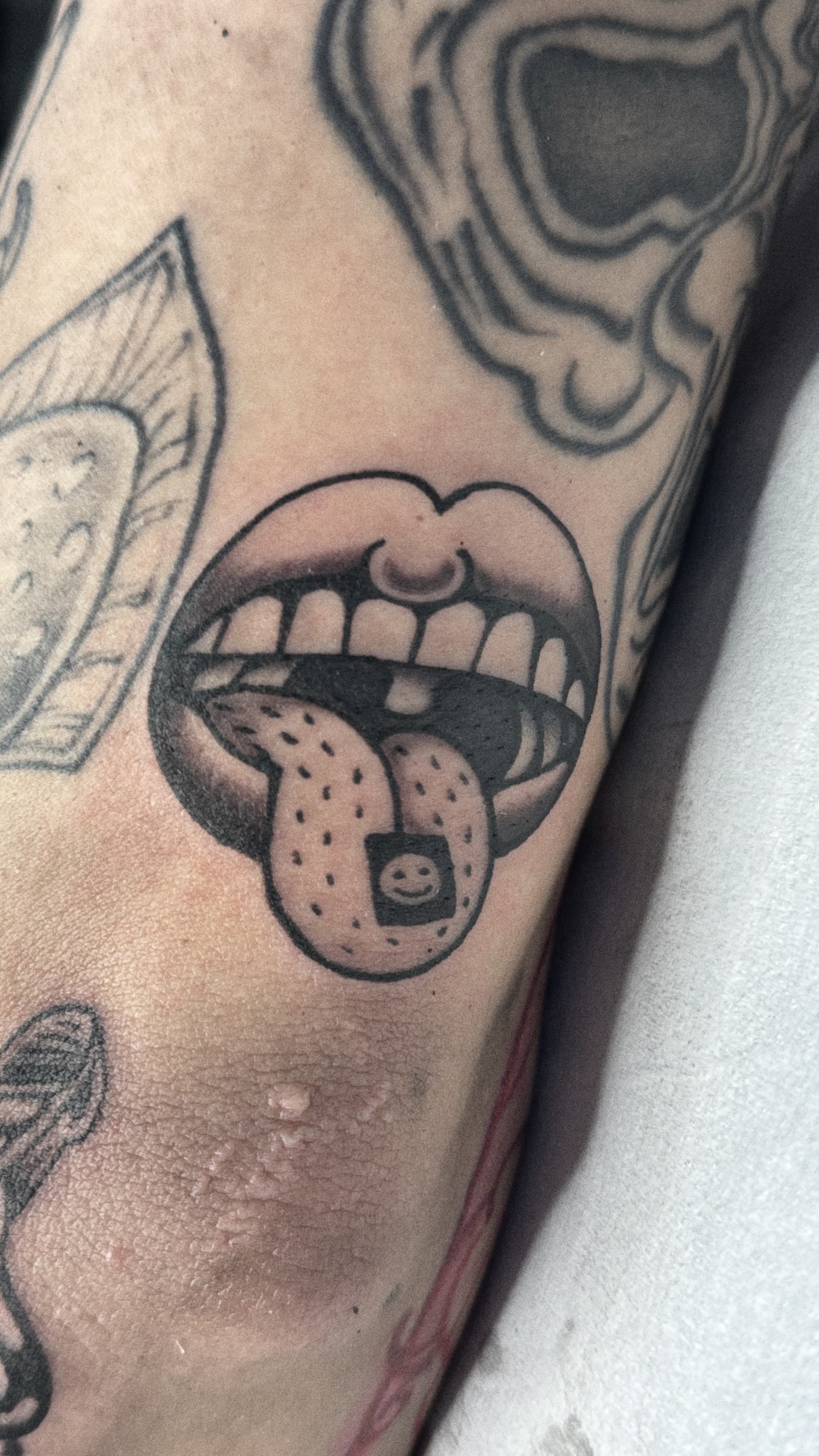 Mapache Studio - Artyści Mapache Studio - Artyści