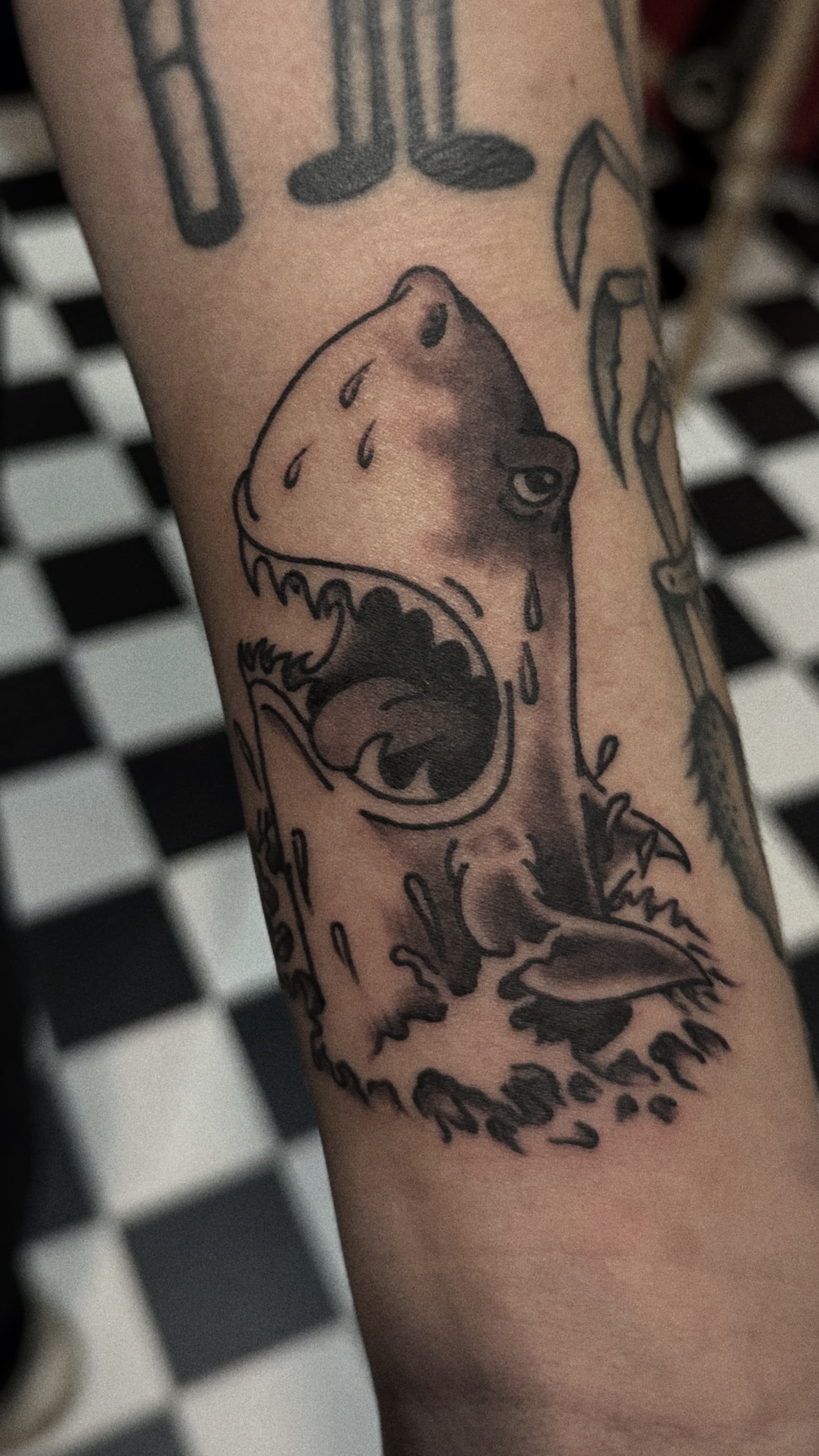 Mapache Studio - Artyści Mapache Studio - Artyści