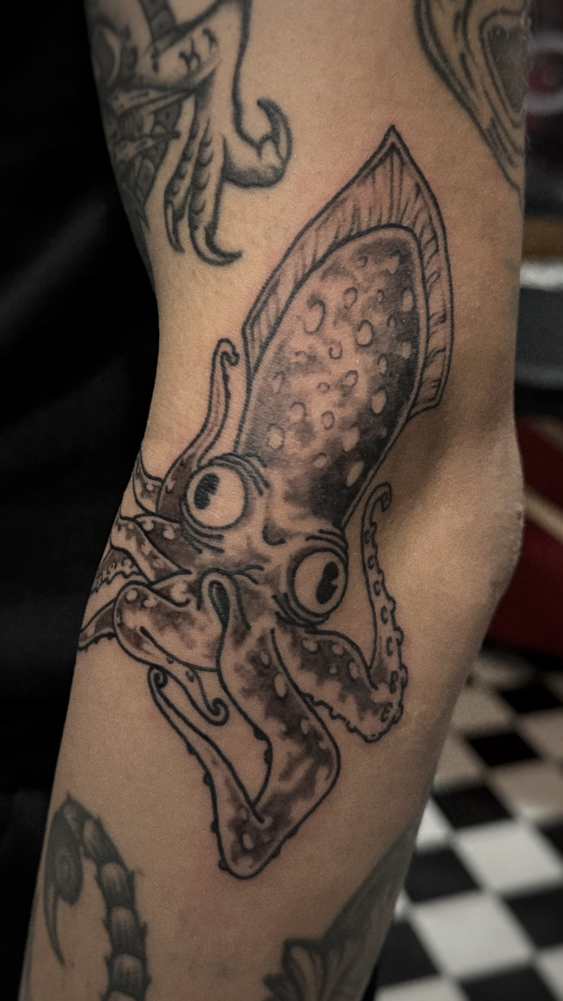 Mapache Studio - Artyści Mapache Studio - Artyści