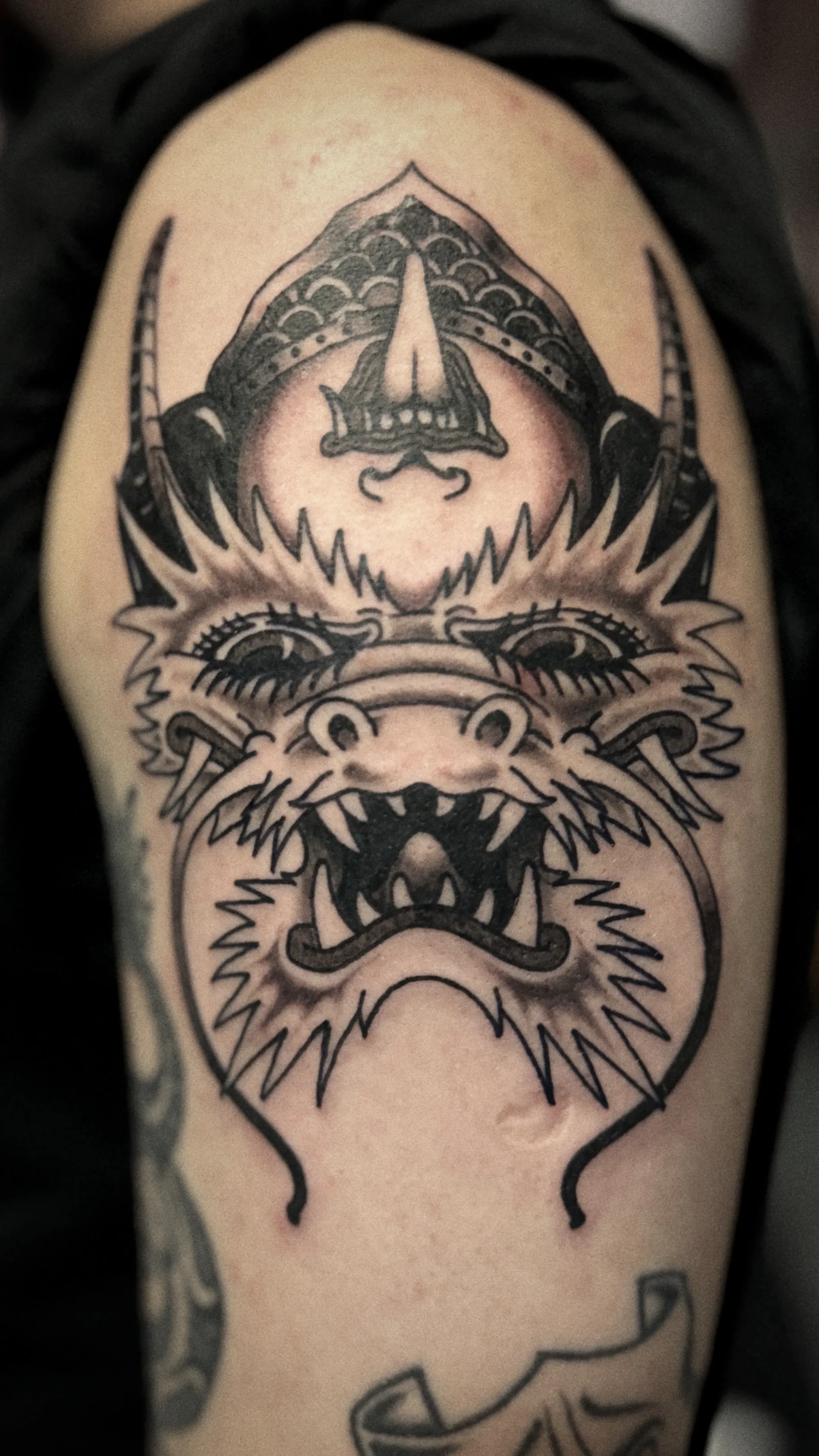 Mapache Studio - Artyści Mapache Studio - Artyści