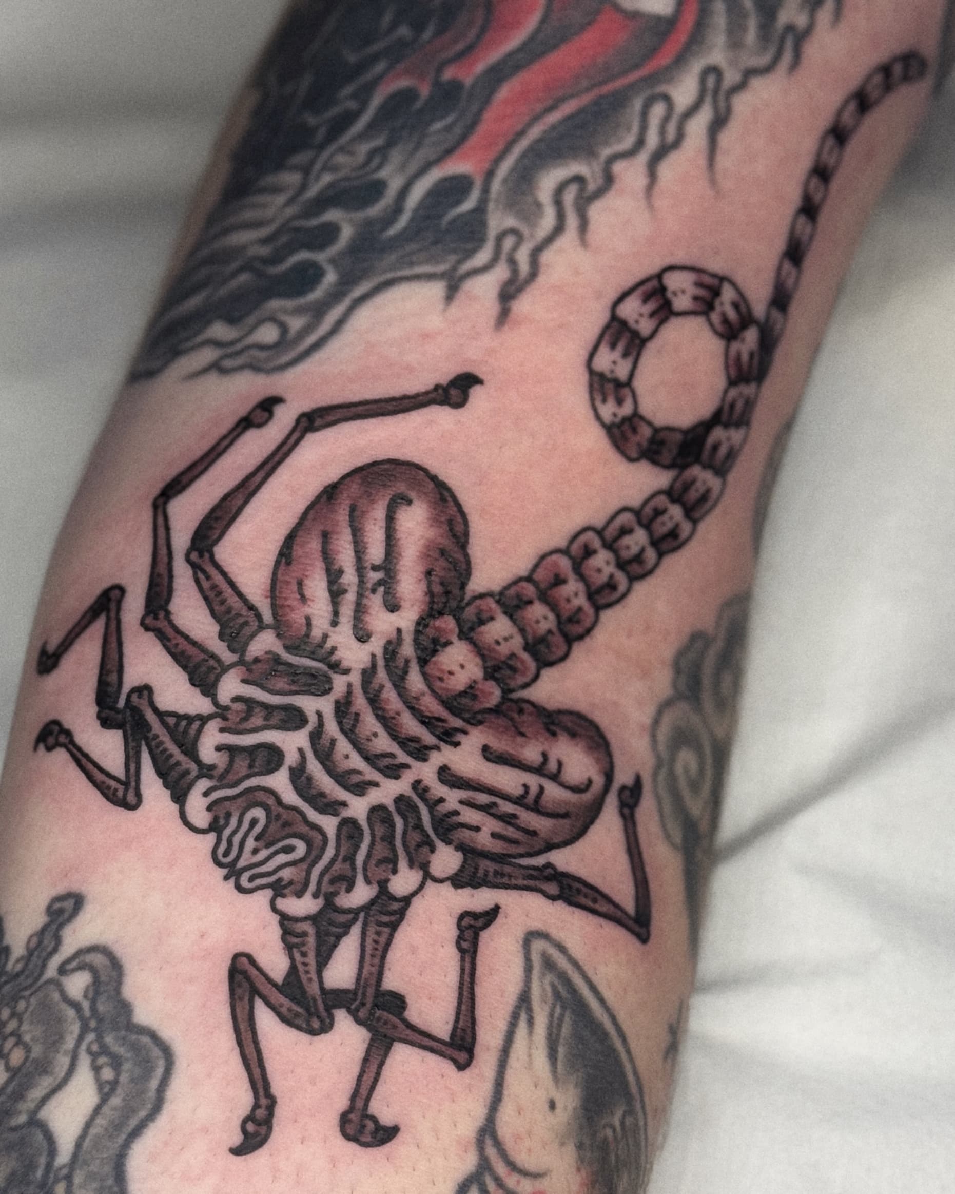 Mapache Studio - Artyści Mapache Studio - Artyści