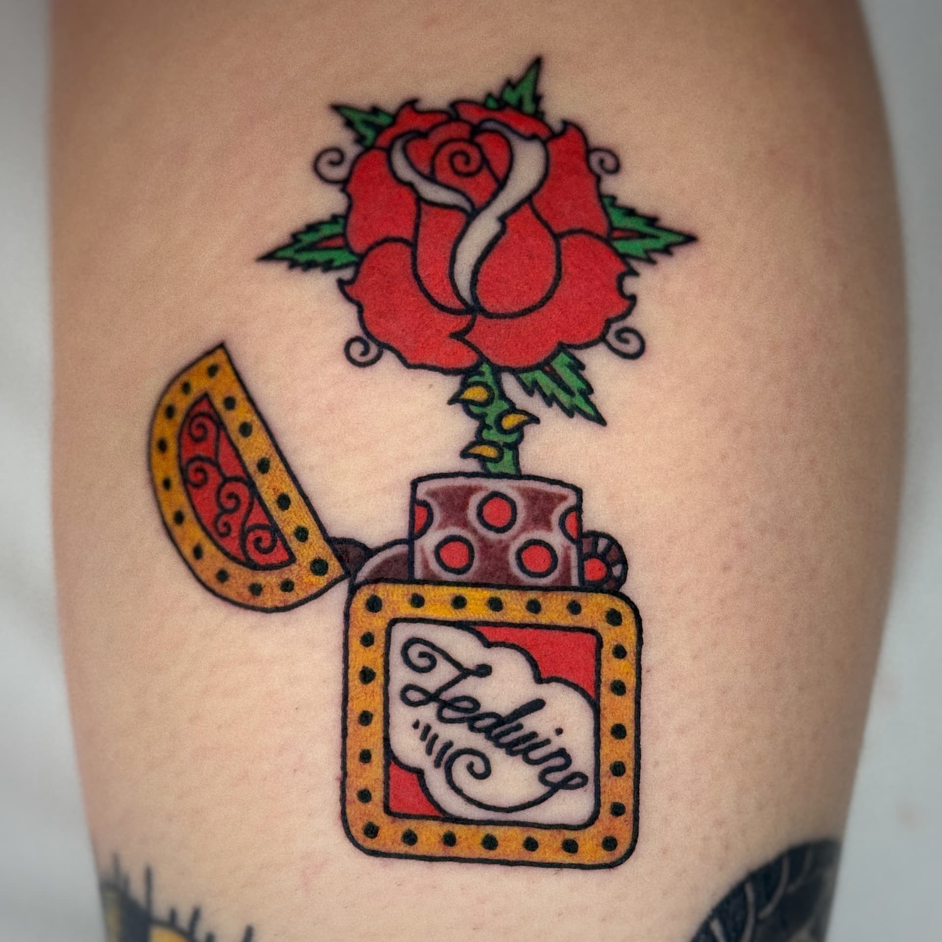 Mapache Studio - Artyści Mapache Studio - Artyści