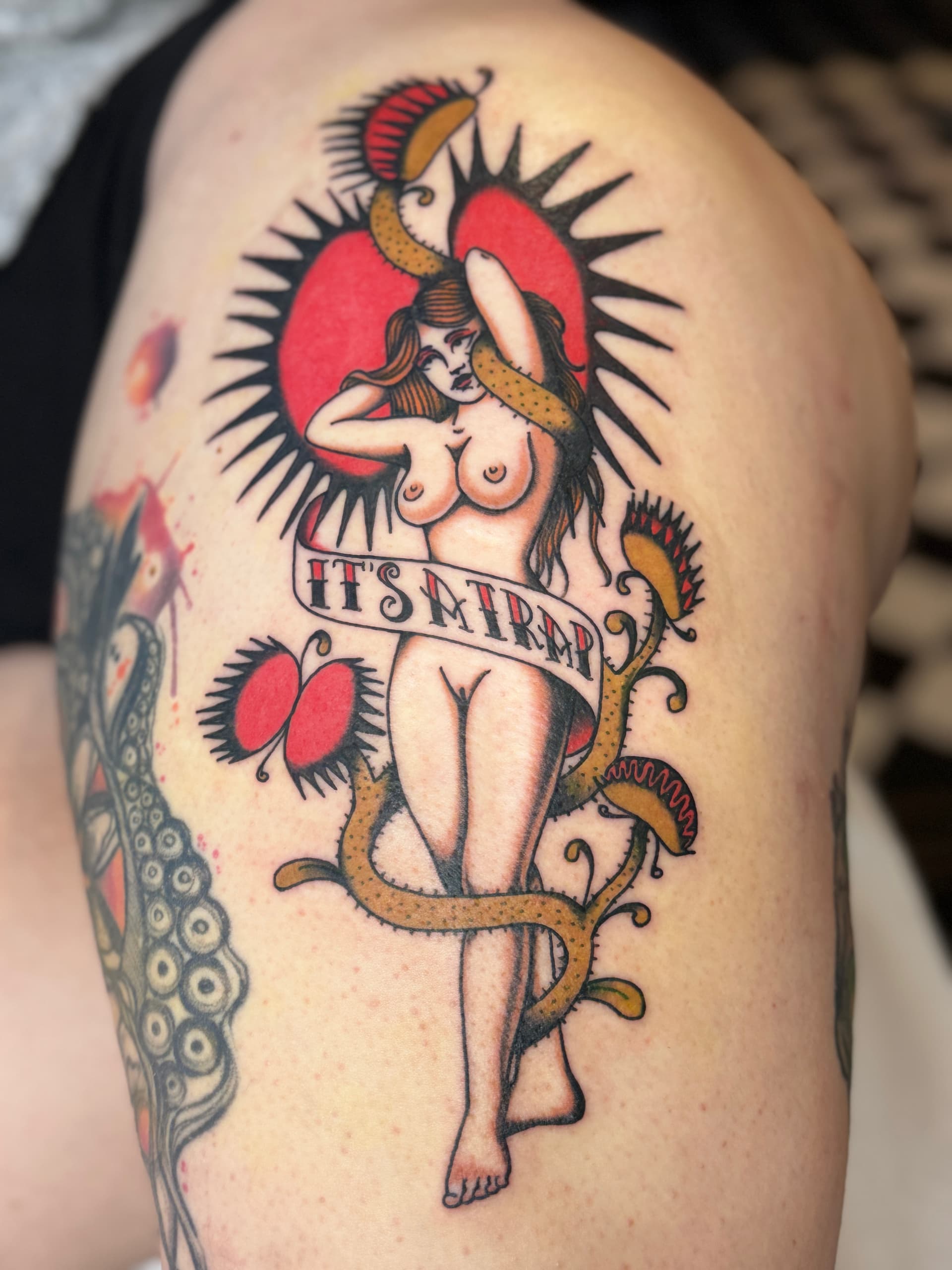 Mapache Studio - Artyści Mapache Studio - Artyści