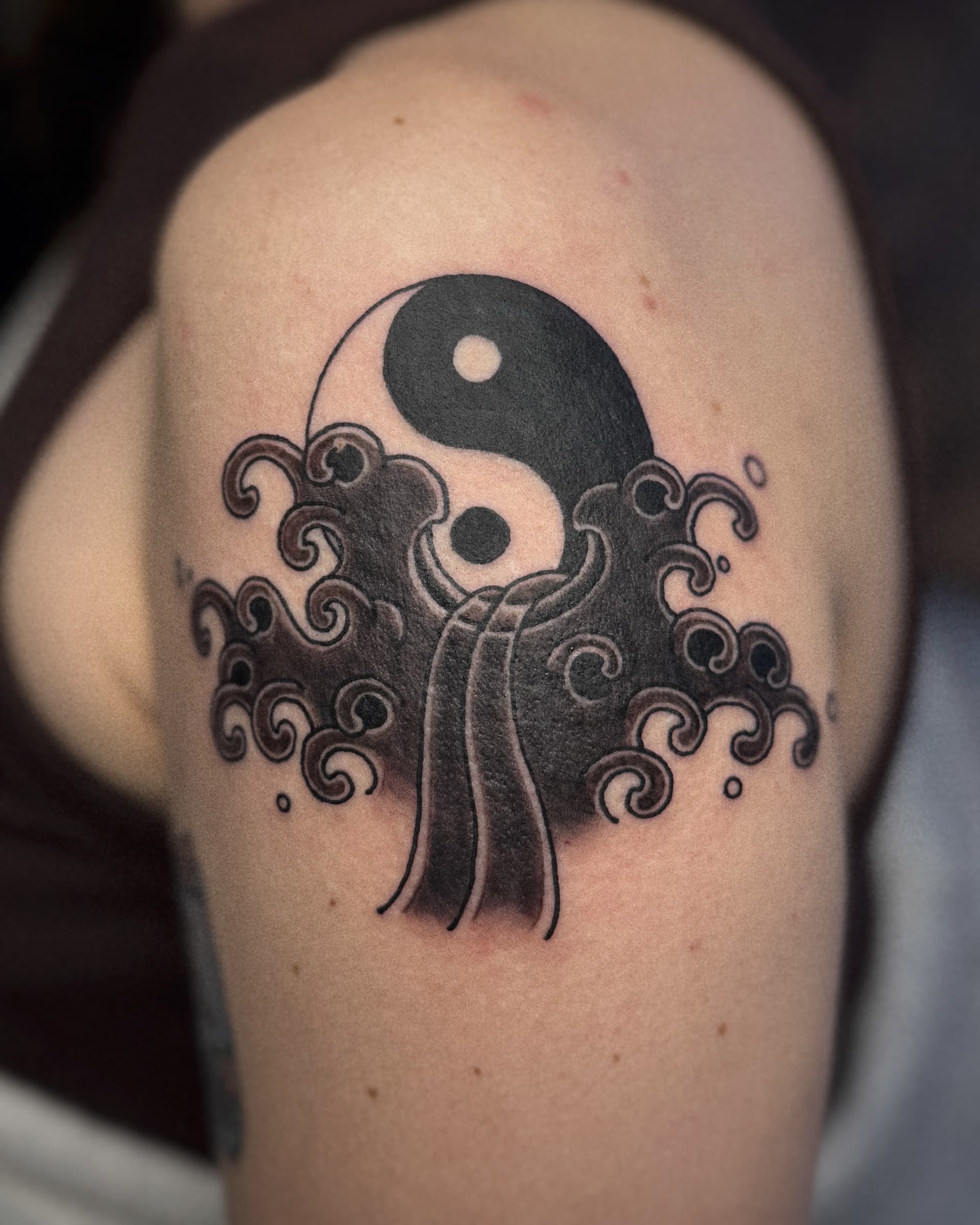 Mapache Studio - Artyści Mapache Studio - Artyści