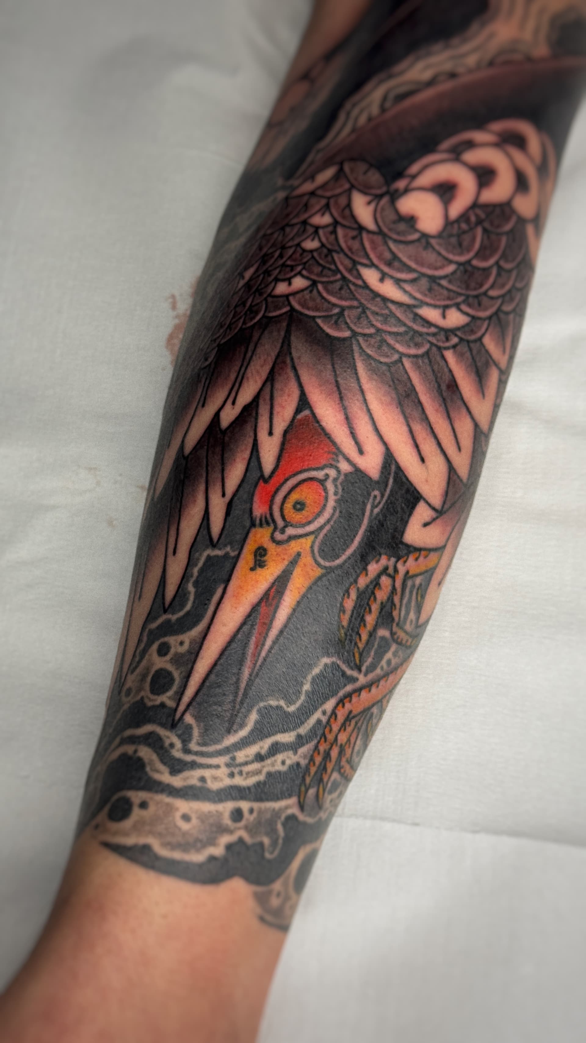 Mapache Studio - Artyści Mapache Studio - Artyści