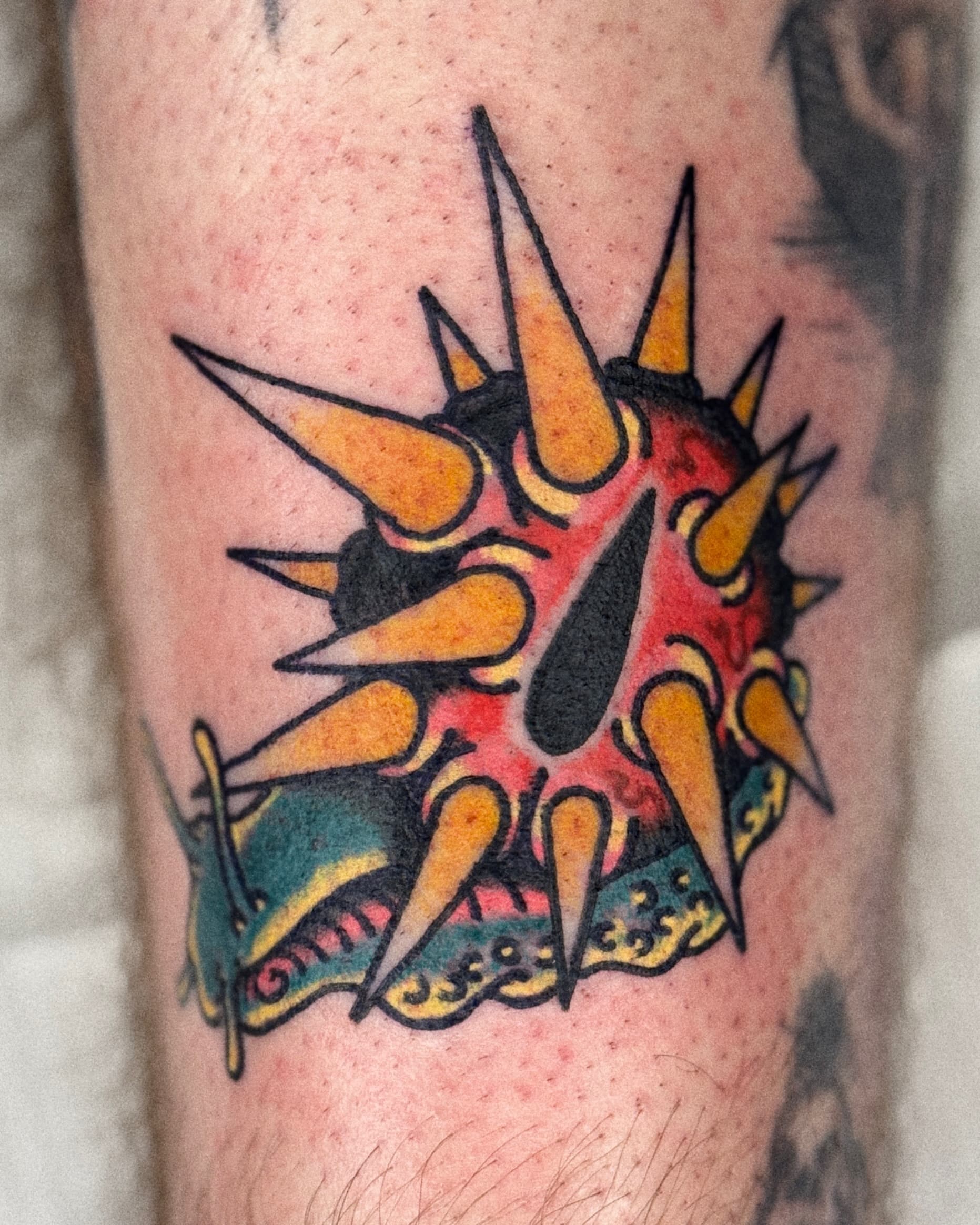 Mapache Studio - Artyści Mapache Studio - Artyści