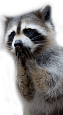 Blackuintatuin - Instagram Blackuintatuin - Instagram