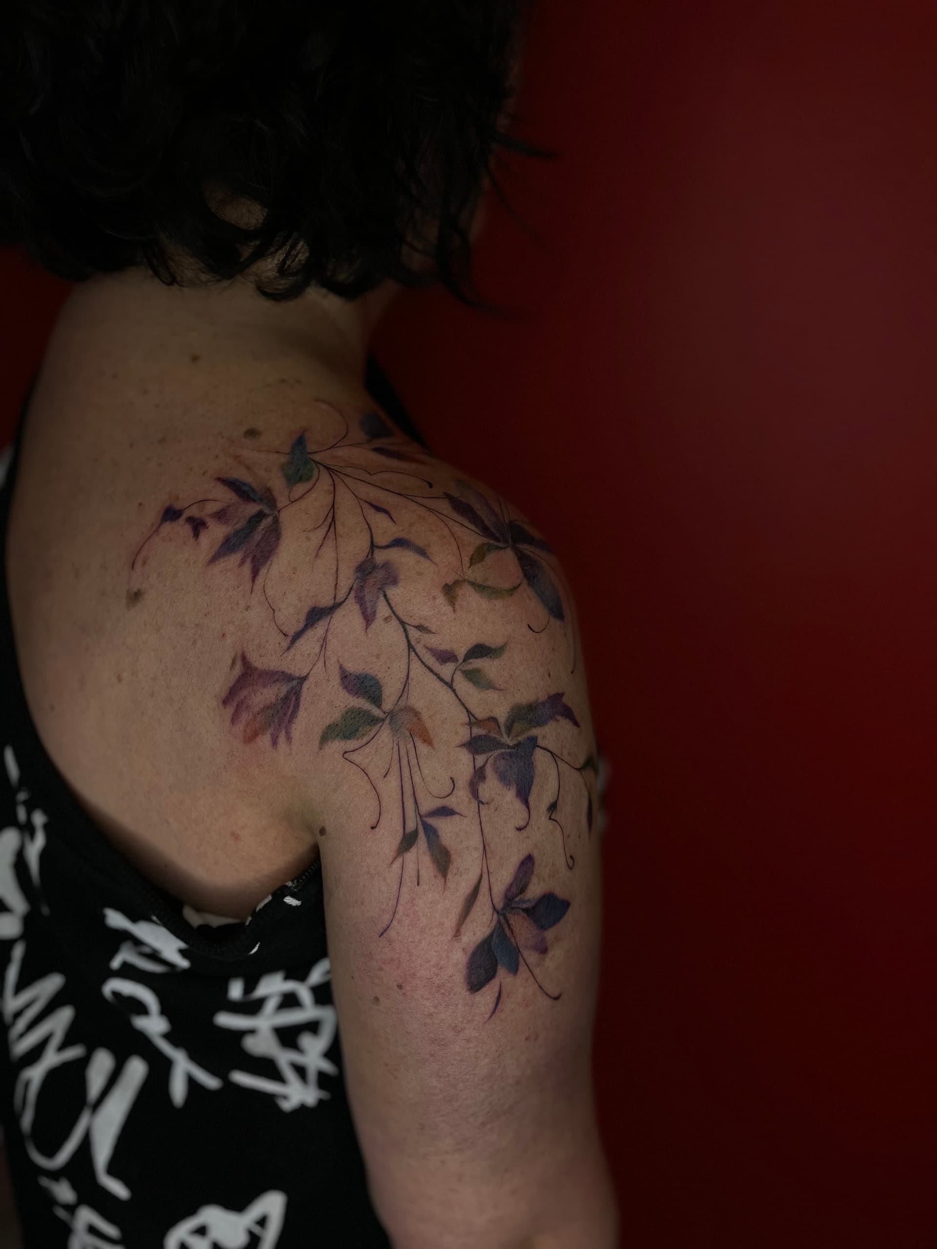 Mapache Studio - Artyści Mapache Studio - Artyści