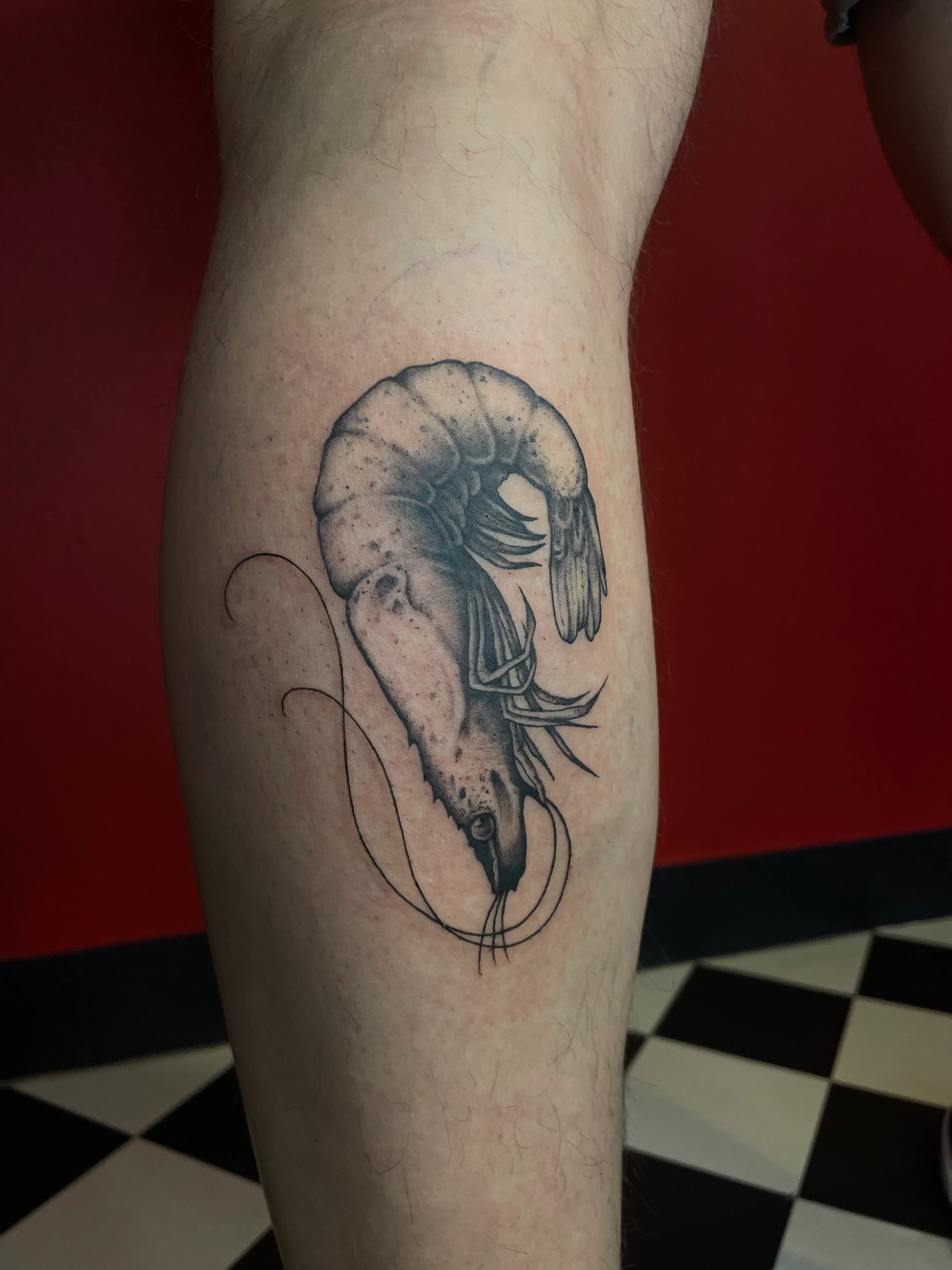 Mapache Studio - Artyści Mapache Studio - Artyści