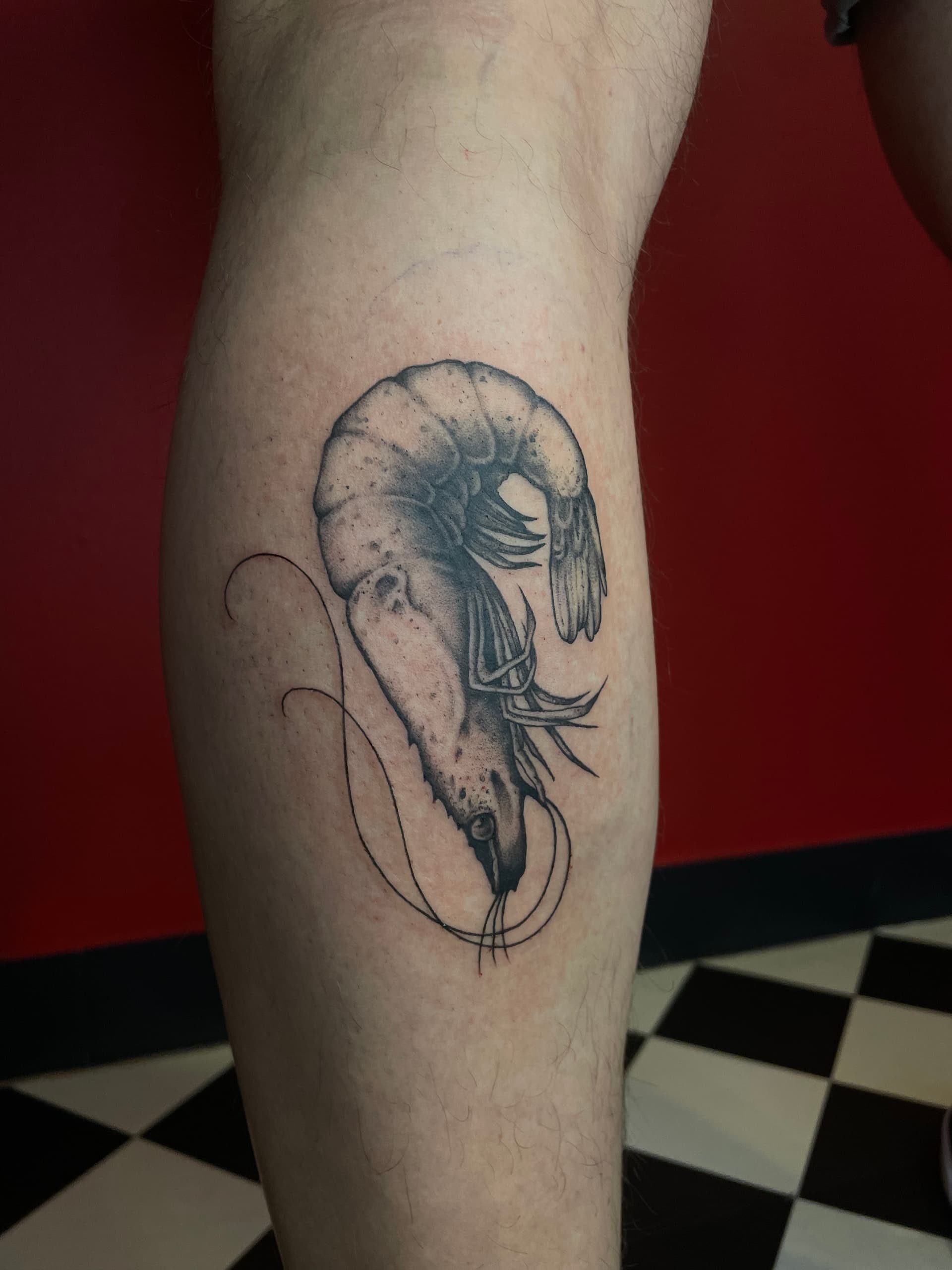 Mapache Studio - Artyści Mapache Studio - Artyści