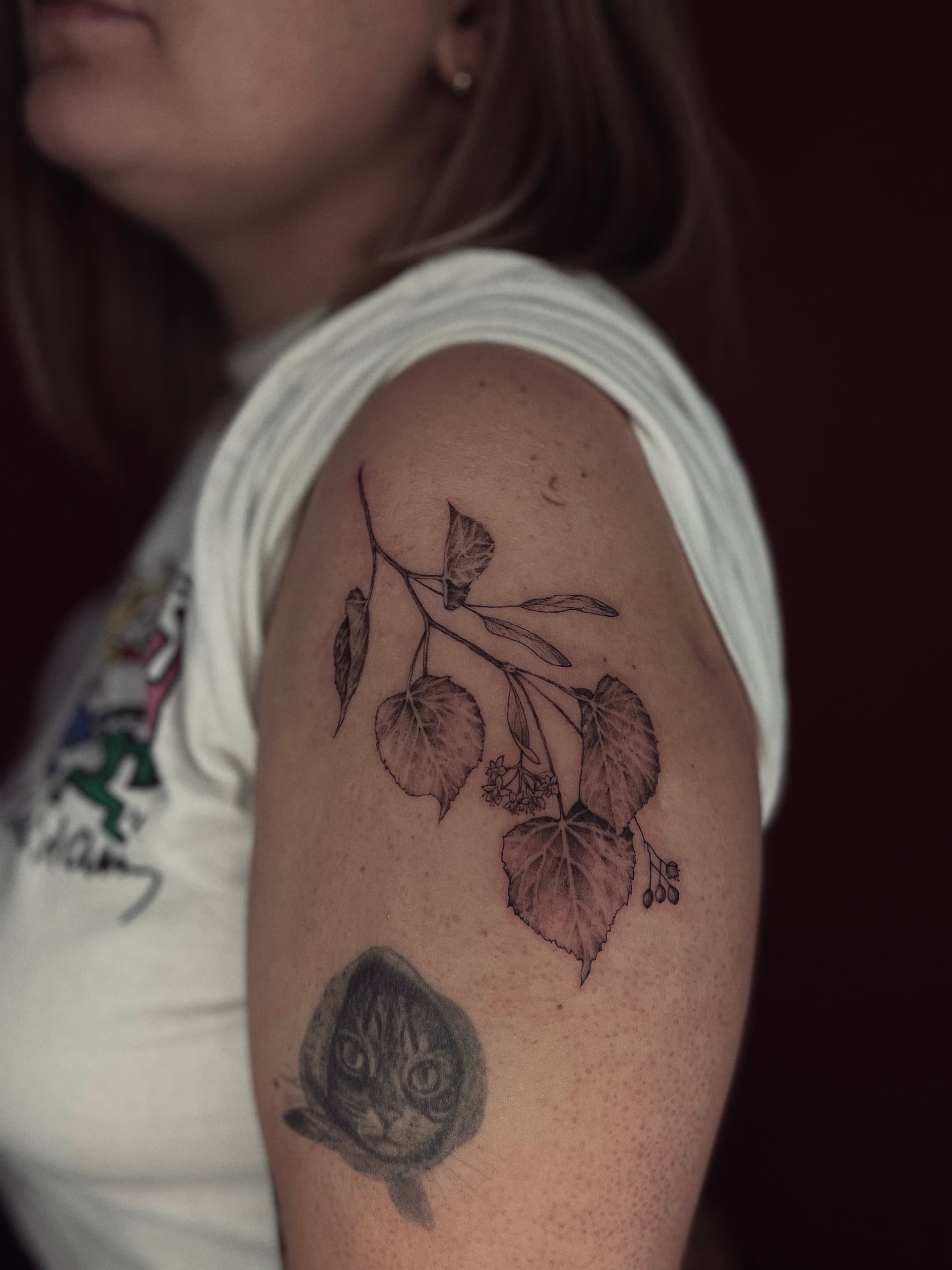 Mapache Studio - Artyści Mapache Studio - Artyści