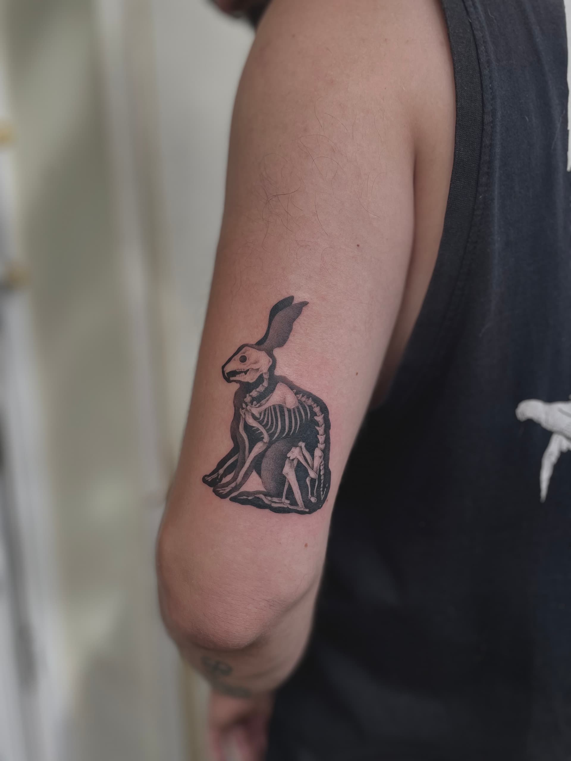 Mapache Studio - Artyści Mapache Studio - Artyści