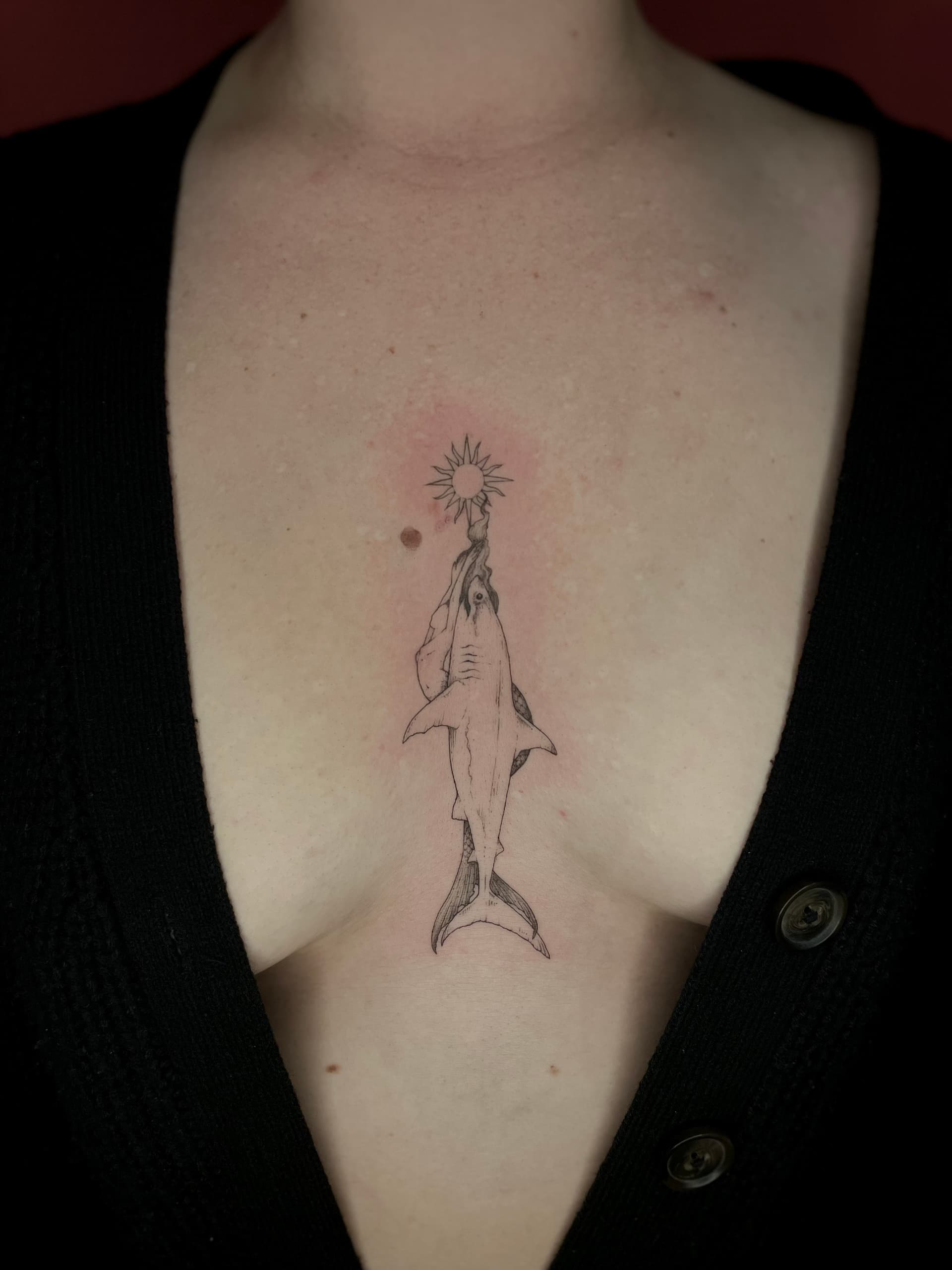 Mapache Studio - Artyści Mapache Studio - Artyści