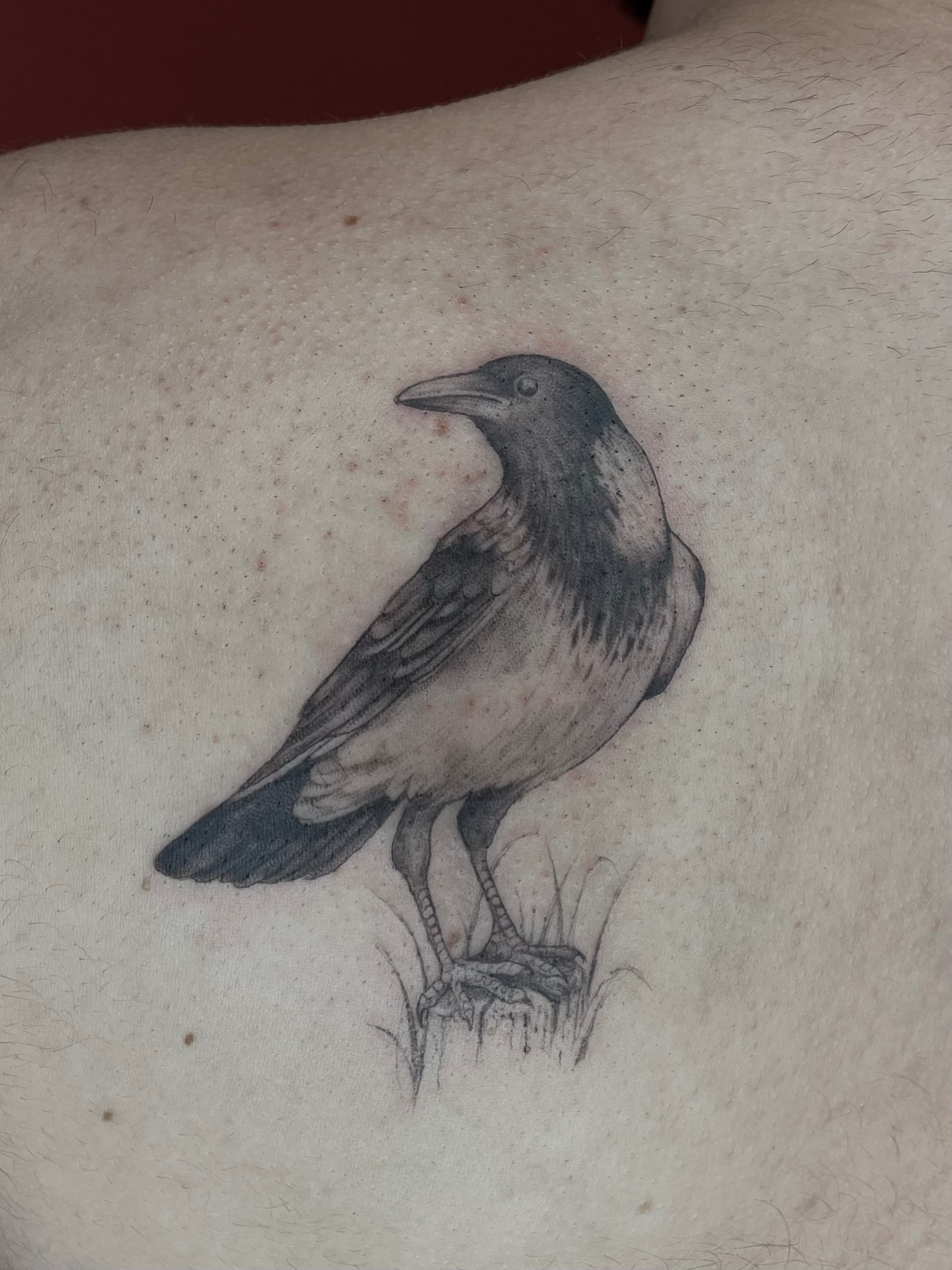 Mapache Studio - Artyści Mapache Studio - Artyści